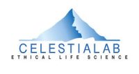 celestialab