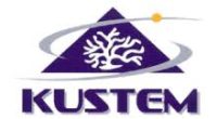 kustem